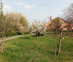 een tuin met bloeiende bomen in het gras bij Panoráma Pihenőház in Balatonalmádi
