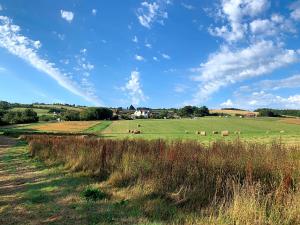 un campo con vacas pastando en la hierba en Huntstile Organic Farm, en Bridgwater