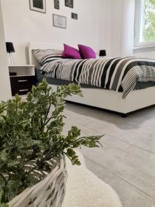 a white living room with a couch and a plant at Apartman Maki in Sombor