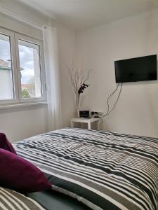 Μια τηλεόραση ή/και κέντρο ψυχαγωγίας στο Apartman Maki