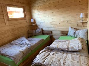 two beds in a log cabin with a window at Ferienhaus Tollensesee in Groß Nemerow