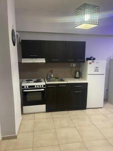 Kuchyňa alebo kuchynka v ubytovaní Dimitris House 4