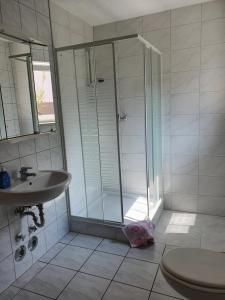 Kylpyhuone majoituspaikassa Pension Zum Brunnenhof