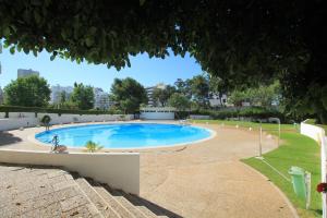 une grande piscine dans un parc dans l'établissement Praia_da_Rocha_Vista_Mar/Ocean_View, à Portimão