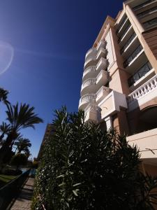 a white building with a palm tree in front of it at Appartement en bord de mer in Cannes