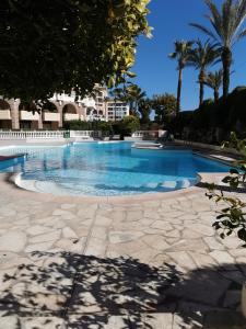 a swimming pool with blue water and palm trees at Appartement en bord de mer in Cannes