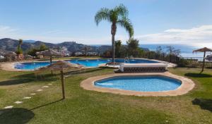 a swimming pool in a yard with a palm tree at Casa del Mar in La Herradura