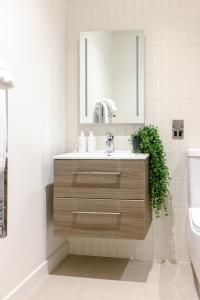 爱丁堡Heeton Concept Aparthotel Edinburgh Queen Street的带水槽和镜子的浴室