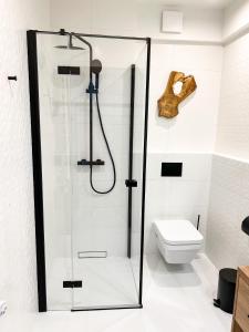 La salle de bains est pourvue d'une douche et de toilettes. dans l'établissement Apartament Morski Widok Międzyzdroje, à Międzyzdroje