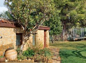 A garden outside Mirador de Gratal - Sierra de Loarre