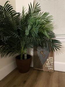 a green plant in a pot next to a sign at Downtown Home - Close to Topgolf, Ravens Stadium, Orioles Park, UM Baltimore in Baltimore