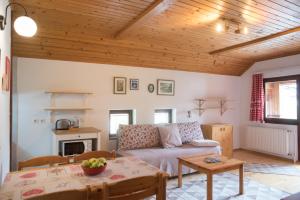 Apartma BioFit Bled في بليد: غرفة معيشة مع أريكة وطاولة
