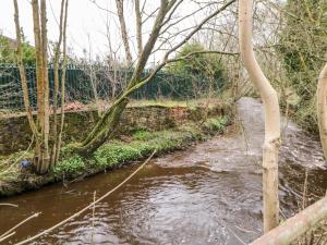 a stream of water with trees and a fence at Bluebell Cottage in Birch Vale