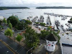 an aerial view of a marina with boats in the water at Painted Turtle Guesthouse in Nanaimo