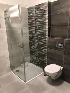 リプノ・ナト・ヴルタヴォウにあるApartmán Lipnoのバスルーム(シャワー、トイレ付)