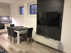 TV a/nebo společenská místnost v ubytování Apartmán Lipno