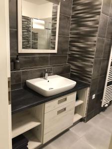 La salle de bains est pourvue d'un lavabo et d'un miroir. dans l'établissement Apartmán Lipno, à Lipno nad Vltavou