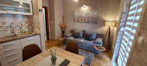 Kuchyň nebo kuchyňský kout v ubytování Apartman Lora