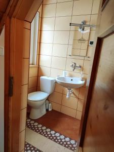 a bathroom with a toilet and a sink at U Tosi in Czorsztyn