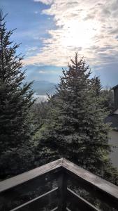 a view of two pine trees from a balcony at U Tosi in Czorsztyn