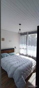 Postel nebo postele na pokoji v ubytování Appartement 2 chambres avec vue au pied des pistes