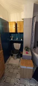 Koupelna v ubytování Appartement 2 chambres avec vue au pied des pistes + 37 fotografií