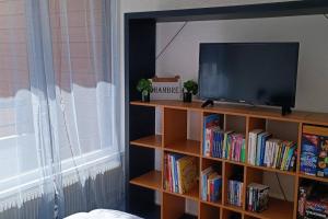 Knihovna v apartmánu