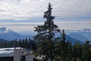 Gallery image of Appartement 2 chambres avec vue au pied des pistes in Chamrousse