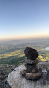 Náttúran í nágrenni sumarhússins