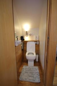 a small bathroom with a toilet and a sink at Cambridge city centre immaculate 2 bed apartment in Cambridge +34 photos