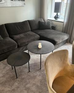 A seating area at Luxury new apartment - Heart of Copenhagen
