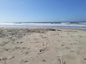 una playa con huellas en la arena y el océano en La Maison De Valerie, en Punta del Diablo