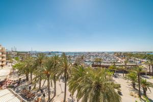an aerial view of a beach with palm trees at Record Maritim II in Port d'Alcudia