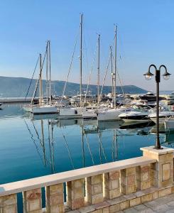 a group of boats docked in a harbor at Barbi Blue Apartments in Herceg-Novi