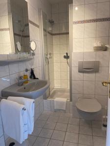 een badkamer met een wastafel, een toilet en een douche bij Hotel Alte Mühle in Bad Bertrich