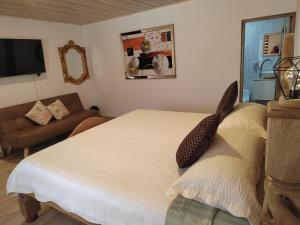 a bedroom with a bed and a couch and a television at Aparta Suite Villa Roko in San Andrés