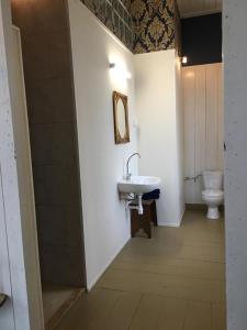 a bathroom with a sink and a toilet at De kastanjehof 31 in Beerta