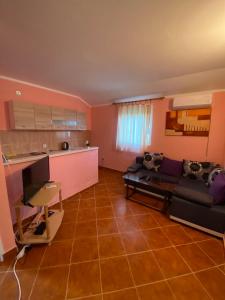 a living room with a couch and a kitchen at Apartments Trsteno 1 in Budva