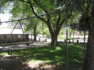eine Schaukel in einem Park mit einem Baum in der Unterkunft Wapiti Lodge in Durango