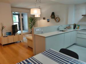 uma cozinha com um lavatório e uma sala de estar em Ventura Apartment ESS02622 em San Sebastián