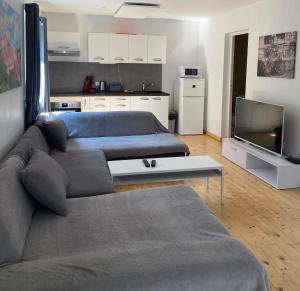 uma sala de estar com um sofá e uma televisão de ecrã plano em Apartmán Provence em Doksy