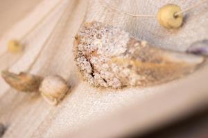 a close up of a piece of food on a net at Apartment Horizon in Split