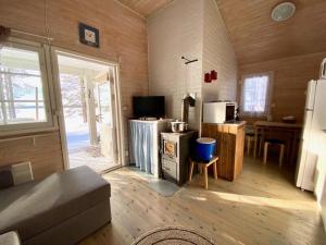 ein Wohnzimmer mit einem Sofa und einem TV in einem Zimmer in der Unterkunft Loistava Aurinkoranta Mökki in Ähtäri