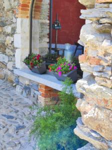 Agriturismo Il Medeghino外面的花园