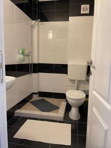 a bathroom with a toilet and a sink at Zeini - Garsoniera Constanta in Constanţa