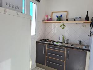 Kuchyň nebo kuchyňský kout v ubytování Prostorný domov v nejkrásnější části Chorvatska