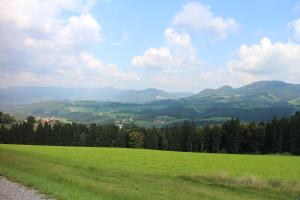 Gallery image of Hotel Semriacherhof in Semriach