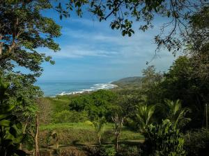 a view of the ocean from a forest at Hotel Vista de Olas in Santa Teresa Beach