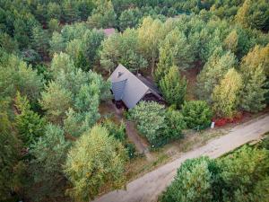 eine Luftansicht eines Hauses inmitten von Bäumen in der Unterkunft Domek na Kaszubskiej z balią i kominkiem in Skoszewo