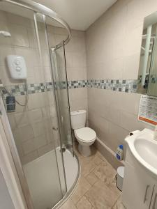 a bathroom with a shower and a toilet and a sink at Charming 1-Bed Cottage in Mullion in Helston
